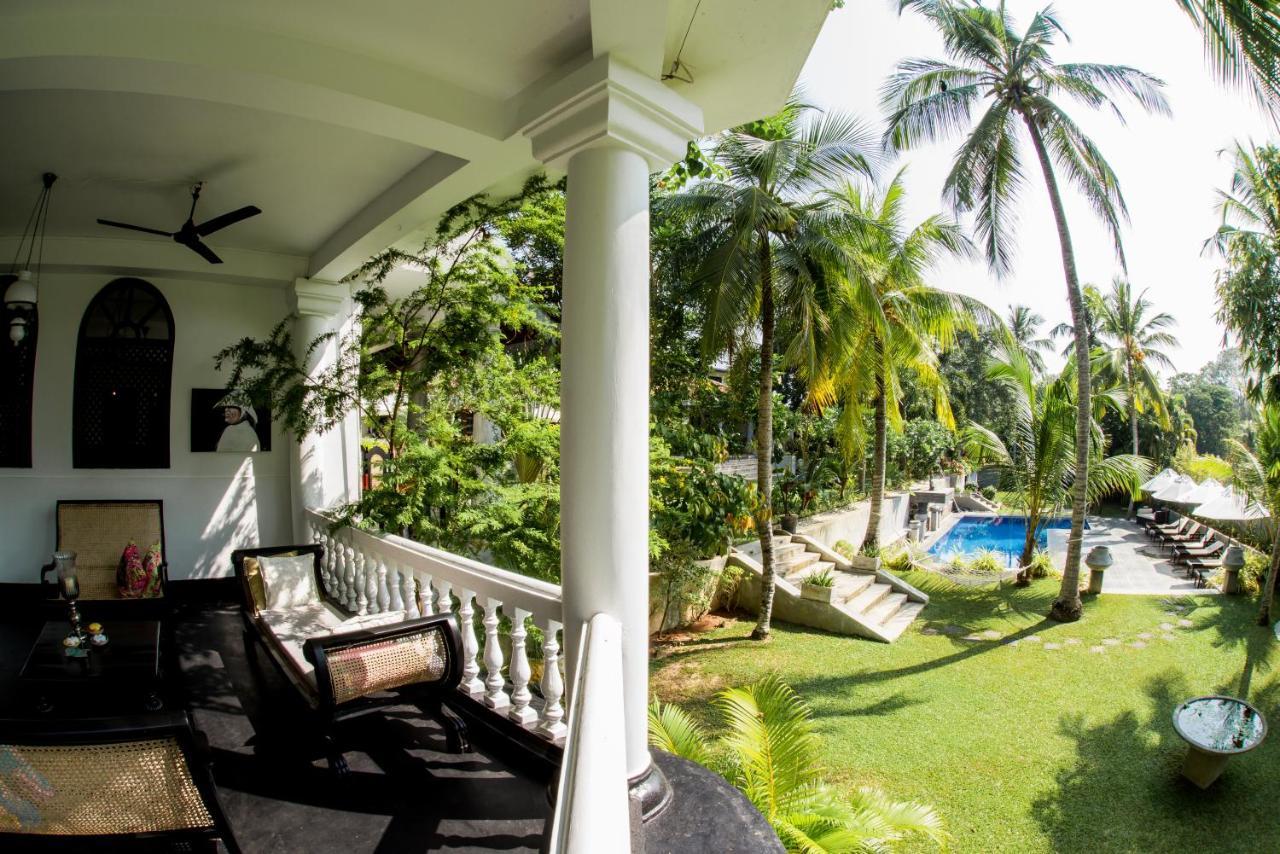 Tropical House - Jungleside Villa Хіккадува Екстер'єр фото