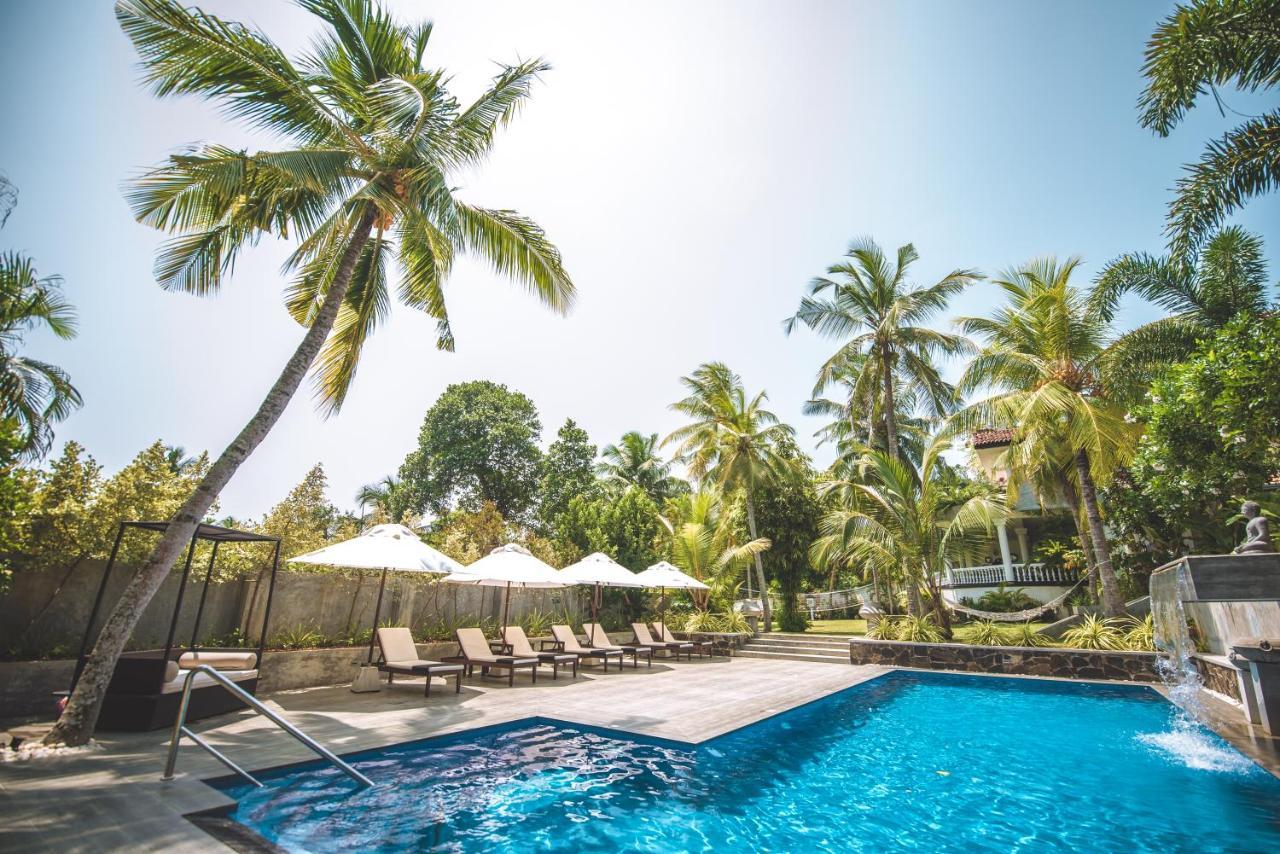 Tropical House - Jungleside Villa Хіккадува Екстер'єр фото
