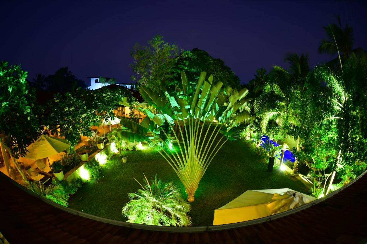 Tropical House - Jungleside Villa Хіккадува Екстер'єр фото
