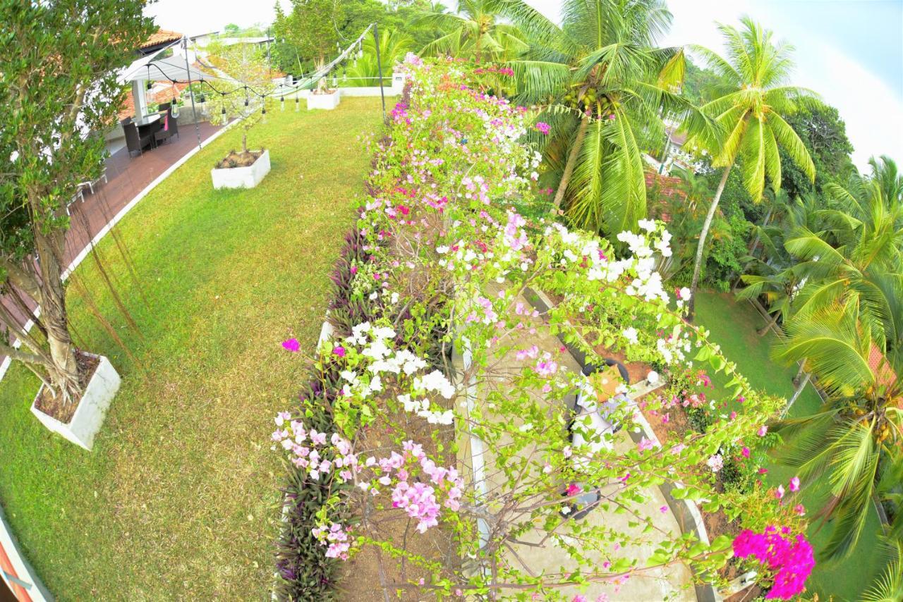 Tropical House - Jungleside Villa Хіккадува Екстер'єр фото
